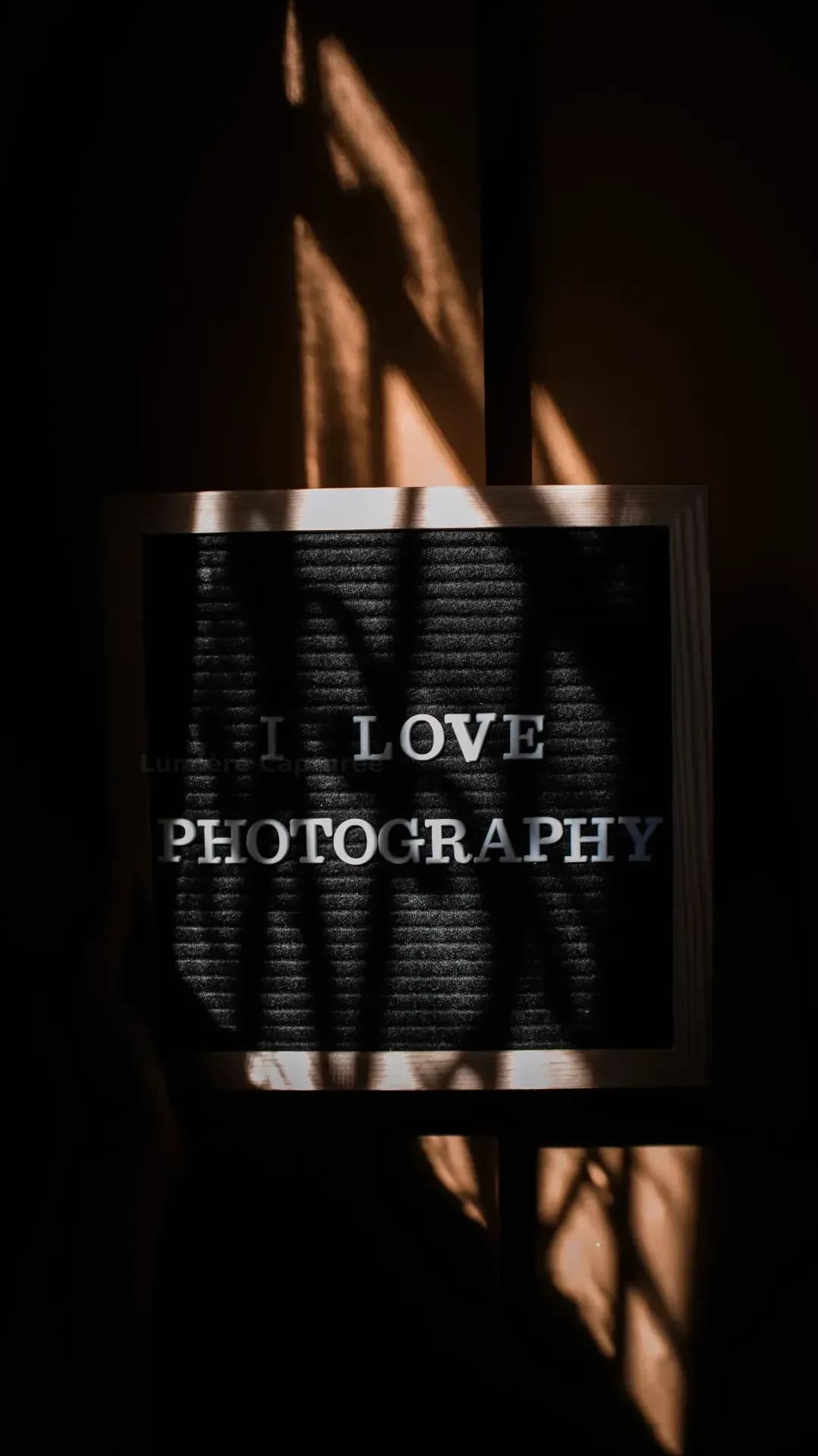 Lumière Capturée 11